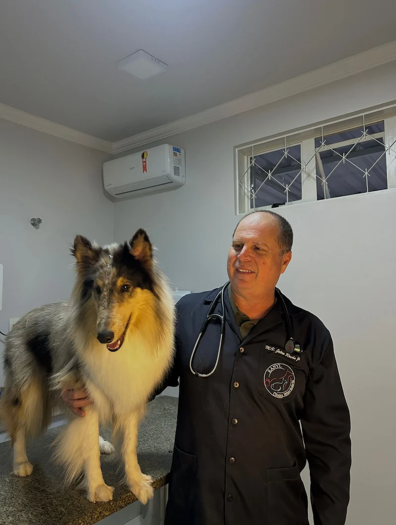 Veterinária cuidando de um cachorro